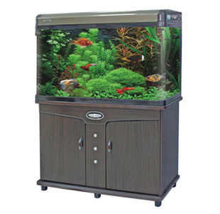 闽江九星1.8米45宽弧形小弯缸家居风水上滤鱼缸