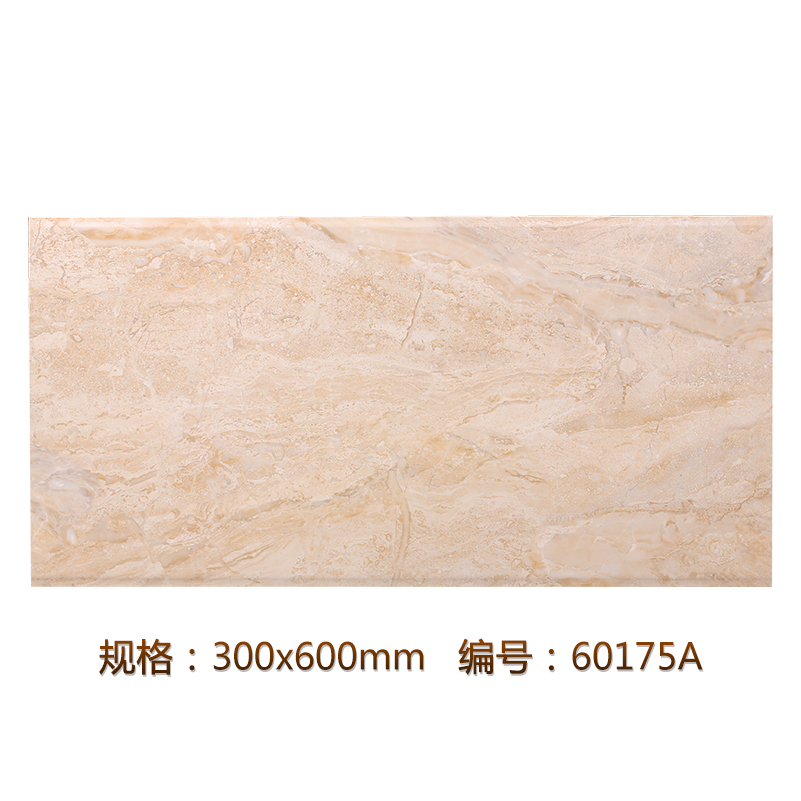 厕所卫生间瓷砖地砖墙砖瓷片釉面砖防滑简约欧式300