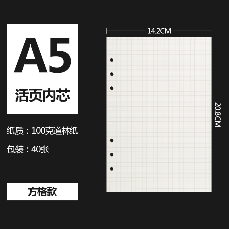 朗捷a5a6b5a4活页纸6孔活页芯100g镂孔活页本原装专用内芯