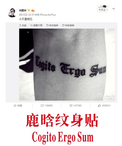 鹿晗纹身贴cogito ergo sum拉丁文手 我思故我在m鹿m男女防水字母