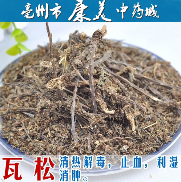 中药材 瓦松 500克 野生 中草药 瓦花 向天草 酸塔 药用绝对干