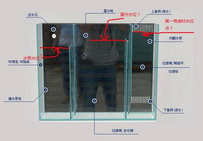 超白缸鱼缸侧滤缸鱼缸背滤缸海水缸 底滤缸底滤槽 上滤槽配缸滤槽