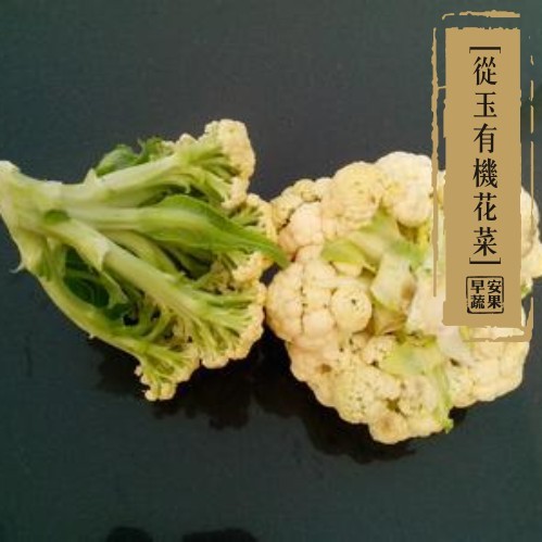 南昌蔬菜 新鲜蔬菜 绿色蔬菜 供港蔬菜 松花菜 花菜400克 6斤包邮