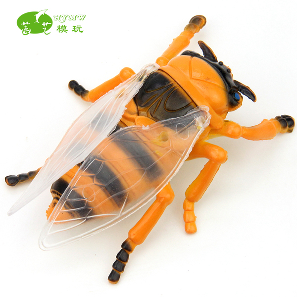 仿真知了模型环保塑胶昆虫动物蝉玩具儿童认知早教整蛊过家家道具