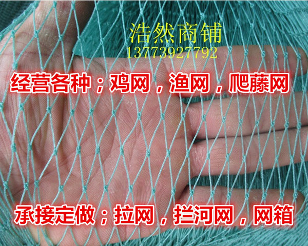 专业定做渔网网箱拉网清塘网拦河网隔断网爬藤网养殖网抬网