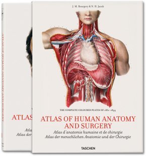 现货盒装atlas of human anatomy and surgery人体医学艺用解剖