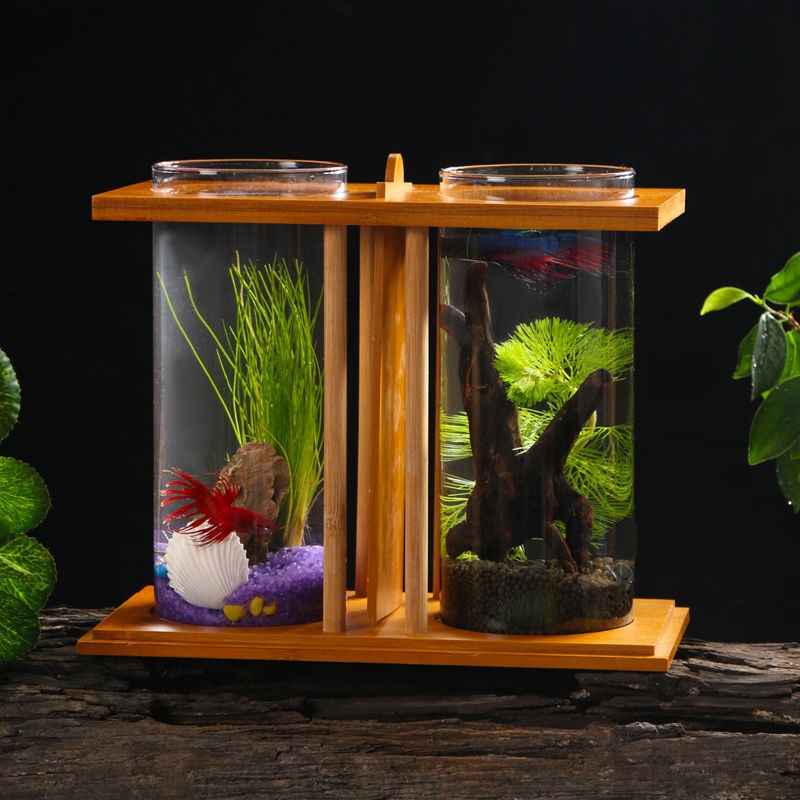 鱼缸生态斗鱼超白玻璃双缸迷你创意小型隔离生态瓶