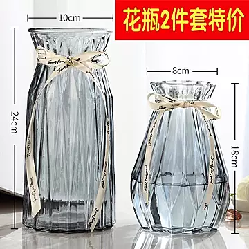创意花瓶玻璃透明水养客厅摆件鲜花插花瓶创[20元优惠券]-寻折猪