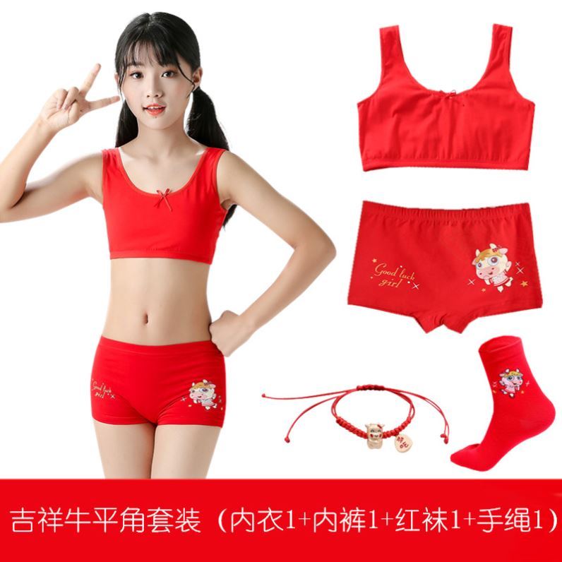 12-year-old girl's original birthday strapless 14 middle school students 15  girls development period red underwear bra cover -  - Buy China  shop at Wholesale Price By Online English Taobao Agent