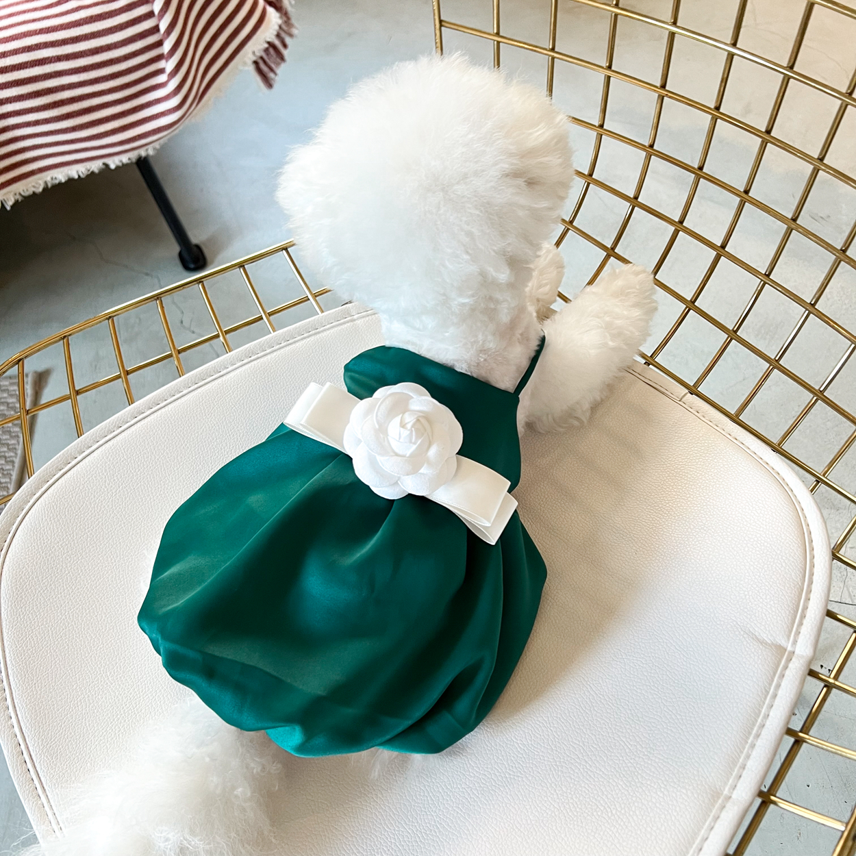 Elegant Silky Classic Style Pet Milk Dog Teddy Bichon Type Puppy Clothes Spring and Summer Dress