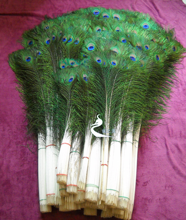 new listing! Wholesale lot decoration room peacock feathers | eBay
