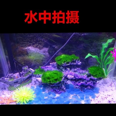 Free Shipping Fish Tank Decorative Aquarium Landscape Background Simulated Moss Coral Reef Coral Ornaments Imitation the Bottom of the Sea Rock