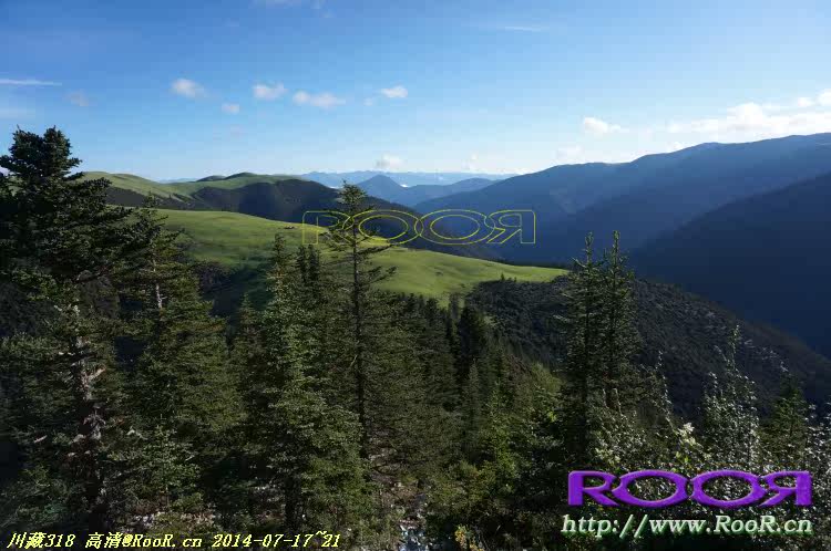 Gants pour vélo - Ref 2247996 Image 142