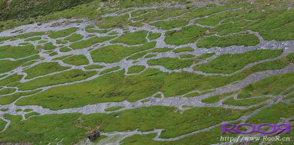 Gants pour vélo - Ref 2247996 Image 59