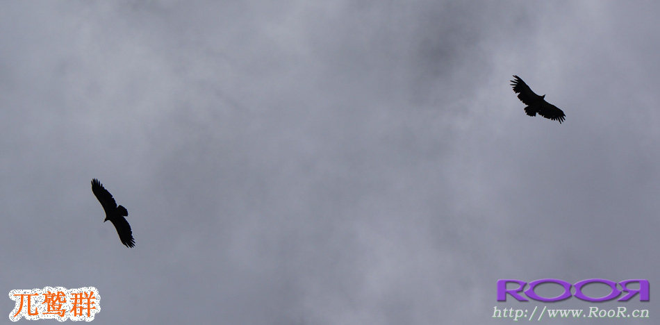 Gants pour vélo - Ref 2247996 Image 63