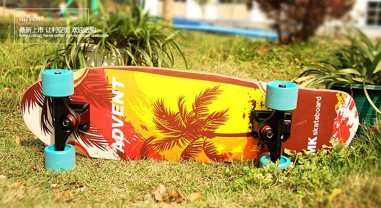Skateboard 12323 - Ref 2601104 Image 34