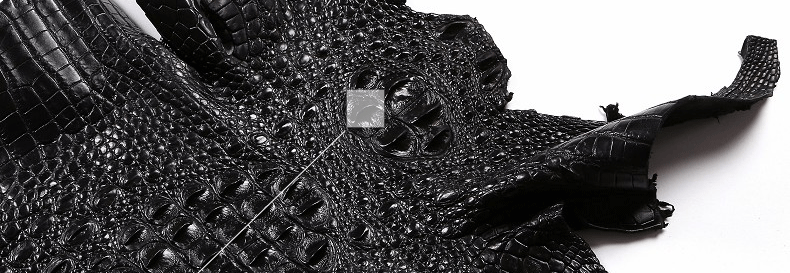 到底怎样才能辨别和区分鳄鱼皮皮带或者鳄鱼皮包的真假呢