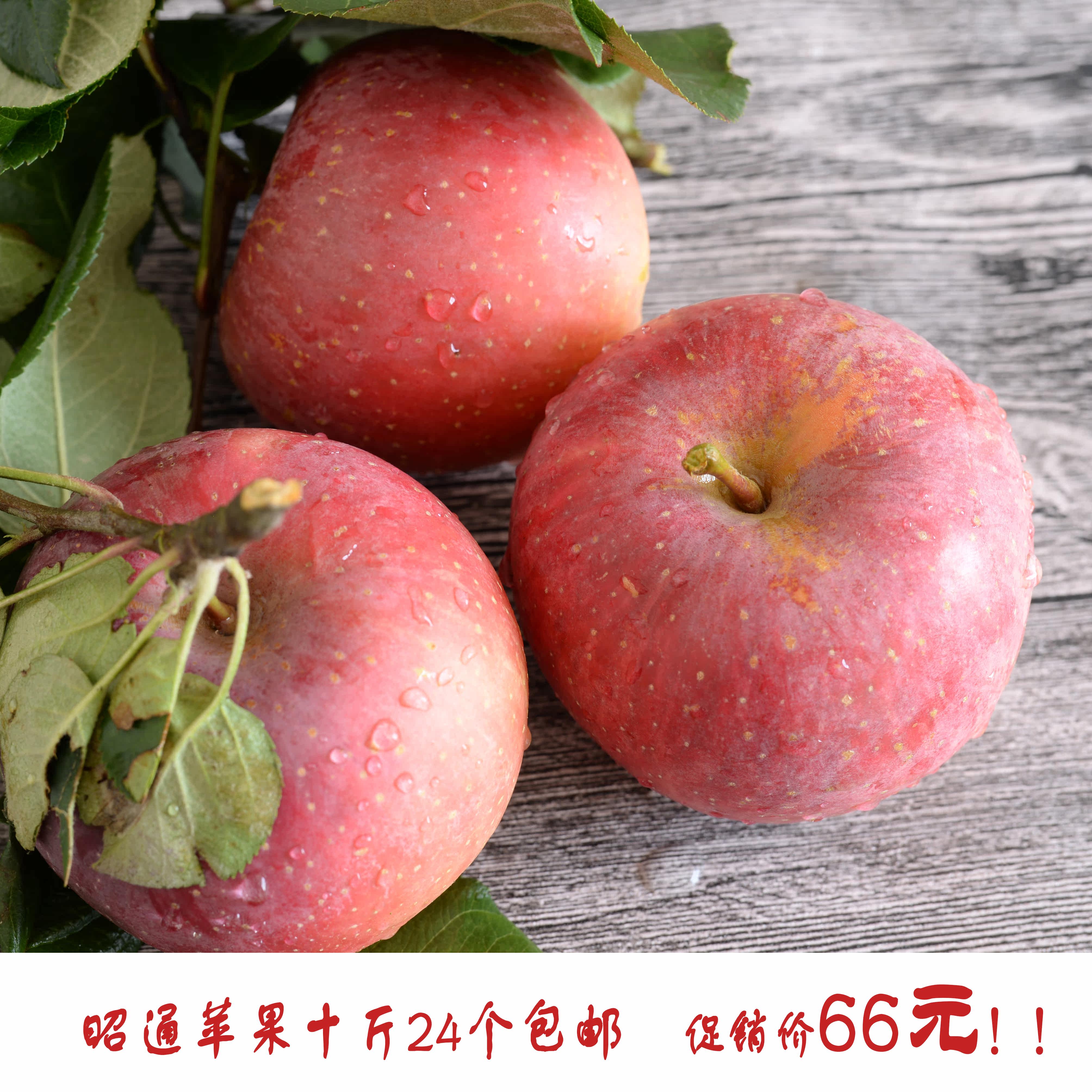 ��ͨ�ز�Ұ����ƻ���츻ʿ����̨ƻ������������ˮ��ʮ��24������