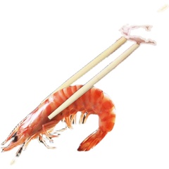 新款一次性筷子独立包装外卖打包小圆筷子卫生方便筷OPP熊猫筷价格比较