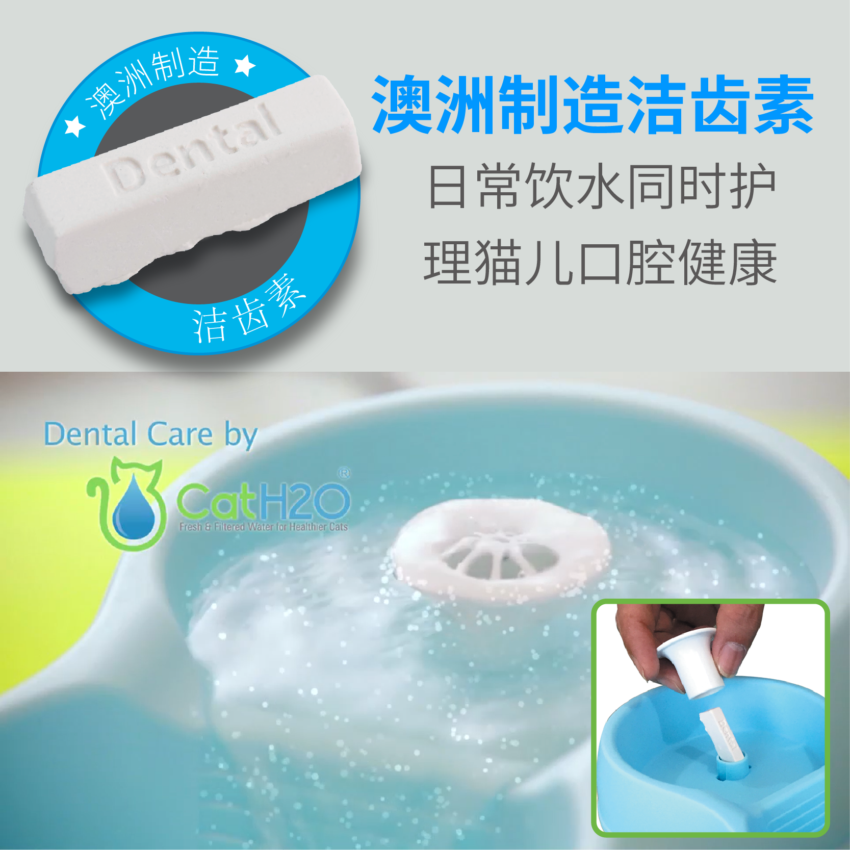 Meow Spring Wang Zhiquan Tooth Cleaning Hormone Tooth Protection Oral Care Cleaning Teeth Tooth Protection Gum Improvement Bad Breath Calcium Supplement