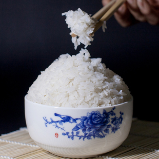 10斤长粒型软香大米香煲仔饭用米新鲜南方大米籼米 券 券后 44.