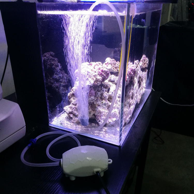 Akvarium syre pumpar ut syre. syre pump ultra små luftaren syre ... Pumpar i akvarium