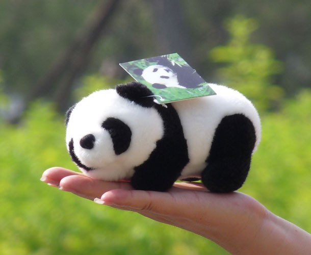 mini stuffed panda bears