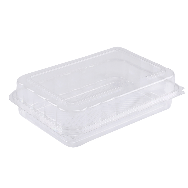 Large Capacity Long Square Transparent Sushi Roll Takeaway Packing Box Cow Lamb Chops Fruit Pastry Packaging Box Free Shipping