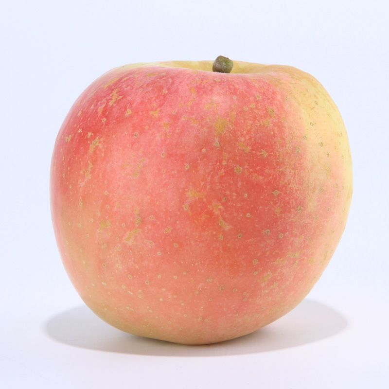 新鲜水果苹果大沙河红富士10斤包邮新鲜丰县脆甜苹果