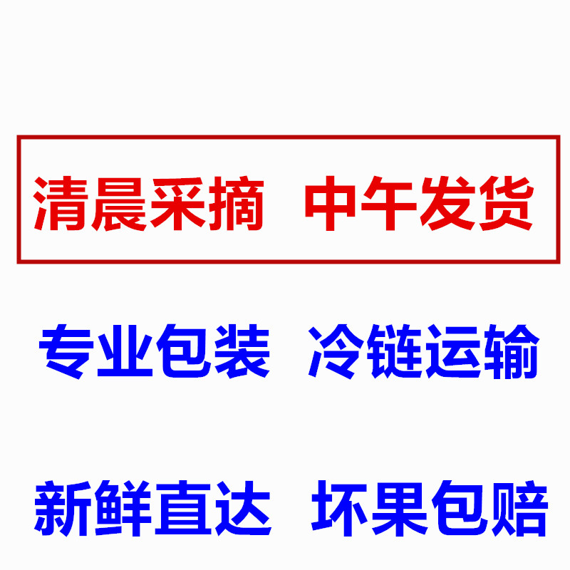 李子水果新鲜脆李青李非红心三华李酸甜孕妇水果脱骨李农家土李子