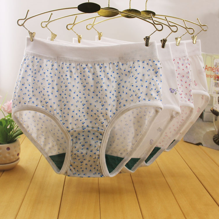 Slip Moyen-âge en coton - Ref 643879 Image 11