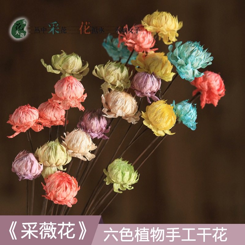 ��ޱ��/С�ɻ�С�r�ոɻ��滨����ɻ������滨�͏d�ҾӔ[�O(sh��)�b�