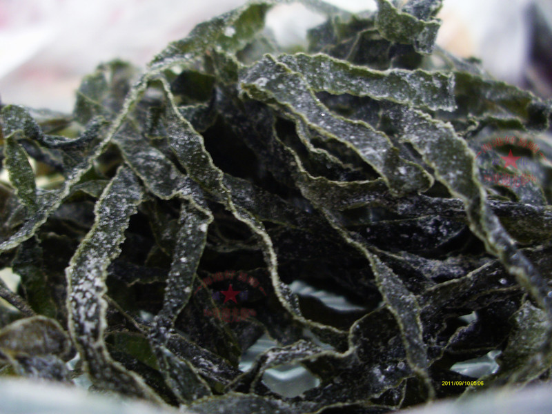 优质干海带丝 昆布丝 海带干 海草干 250g 防高压补碘钙 海鲜干货