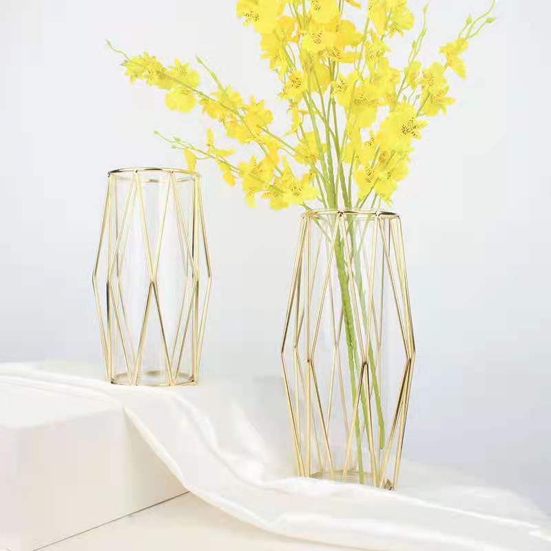 Nordic Ins Diamond Iron Vase Metal Vase Decoration Wedding Vase Hydroponic Glass Test Tube Flower Container