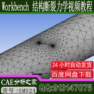 ANSYS Workbench �ṹ������ѧ��ֵģ�⼼����Ƶ�̳�