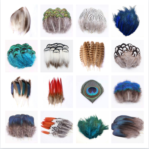 small feather 50 pcs diy handmade ornament accessories pheasant feather duck feather funny cat material dream catcher peacock blue pieces