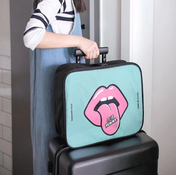 blush luggage set