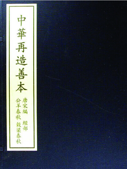 《中华再造善本·唐宋编（442册）》国学传统文化经典pdf电子版