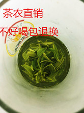 2023 Янчжоу специальный зеленый тополь весенний чай