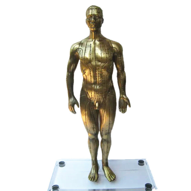 ��ͭ����������ͨ���ͭ�� ����Ѩλģ�� ��ҽ�����ģ ����