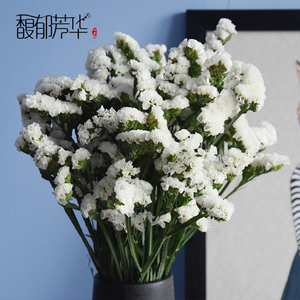 云南白色勿忘我干花花束 装饰 风干家居装饰摆设客厅卧室diy真花
