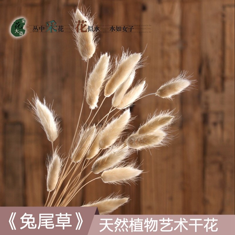 ��β�Ͳݸɻ��滨�������ɻ�������֦�ɻ��廨�滨�����͏d�b�