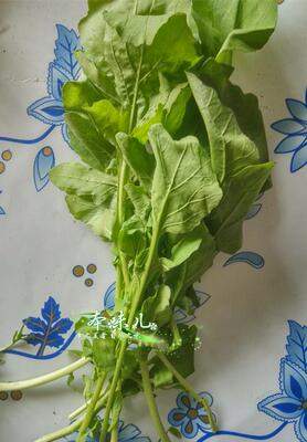 东北小菜 蘸酱菜 臭菜200克 小园 5份包邮顺丰 可以细菜混发