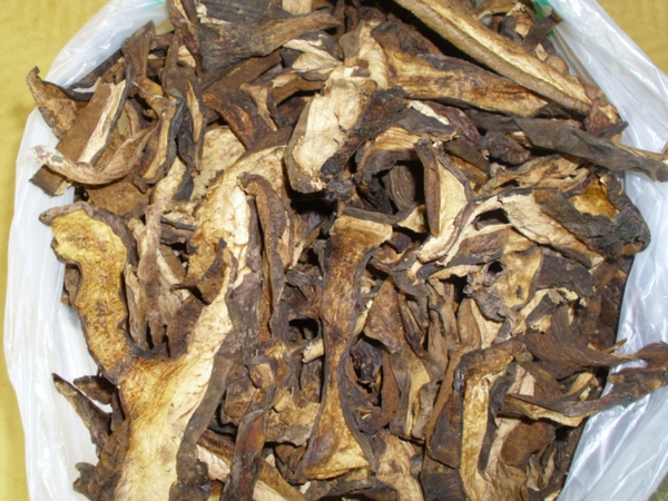 特价 石柱土特产 菌类 天然无污染 野生菌 黄水大脚菌 2斤包邮