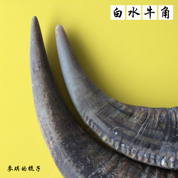 批发正品越南白水牛角原料 大号白水牛角整角原材料 对角牛角摆件