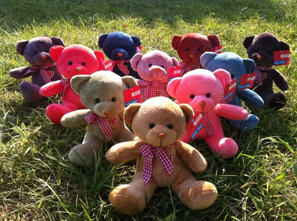 超柔彩色小熊公仔毛绒玩具熊熊布娃娃小号车摆玩偶儿童玩具礼品