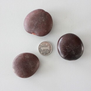 平安豆原豆种子平安豆又名龙豆 罗汉豆 过江龙子,木腰子