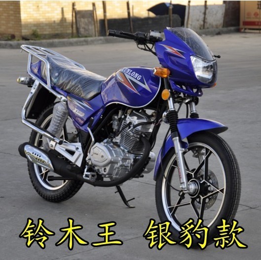 全新迅龍牌鈴木王銀豹款125騎士騎式車摩托車力帆動力含大證發票