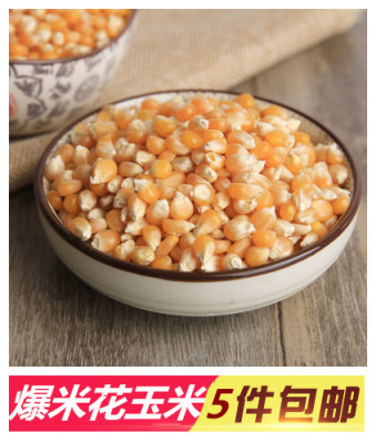 爆米花专用玉米小玉米粒爆裂玉米粒炸爆米花机原料爆花玉米500g