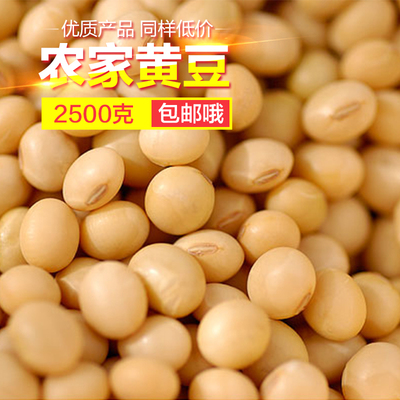 生黄豆东北农家大豆500克豆浆专用黄豆 5斤包邮
